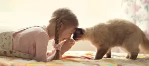 кошка и девочка